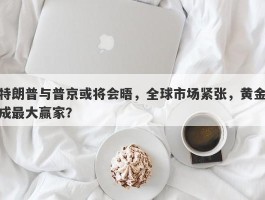 特朗普与普京或将会晤，全球市场紧张，黄金成最大赢家？