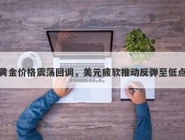 黄金价格震荡回调，美元疲软推动反弹至低点