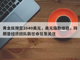 黄金反弹至2640美元，美元指数维稳，特朗普经济团队新任命引发关注