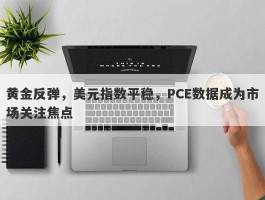 黄金反弹，美元指数平稳，PCE数据成为市场关注焦点