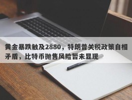 黄金暴跌触及2880，特朗普关税政策自相矛盾，比特币抛售风险暂未显现