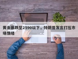 黄金暴跌至2590以下，特朗普发言打压市场情绪