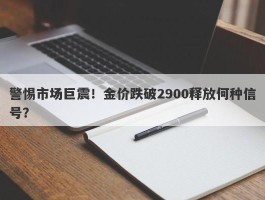 警惕市场巨震！金价跌破2900释放何种信号？