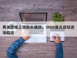 黄金价格上涨势头强劲，3000美元目标逐渐临近