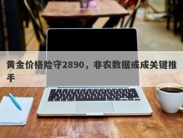 黄金价格险守2890，非农数据或成关键推手