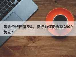 黄金价格回落5%，投行为何仍看涨2900美元？