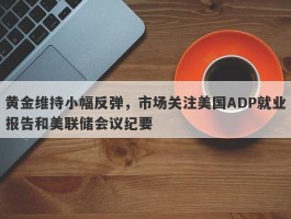 黄金维持小幅反弹，市场关注美国ADP就业报告和美联储会议纪要