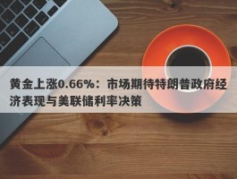 黄金上涨0.66%：市场期待特朗普政府经济表现与美联储利率决策