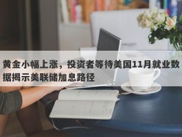 黄金小幅上涨，投资者等待美国11月就业数据揭示美联储加息路径