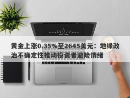 黄金上涨0.35%至2645美元：地缘政治不确定性推动投资者避险情绪