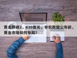 黄金跌破2，630美元，非农数据公布前，黄金市场如何布局？