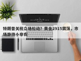 特朗普关税立场松动？黄金2915震荡，市场静待小非农