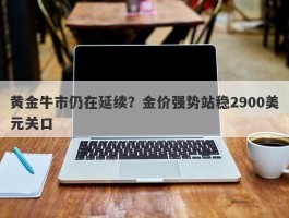 黄金牛市仍在延续？金价强势站稳2900美元关口