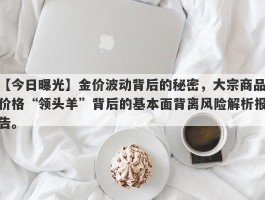 金价波动背后的秘密，大宗商品价格“领头羊”背后的基本面背离风险解析报告。