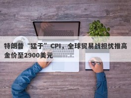 特朗普“猛于”CPI，全球贸易战担忧推高金价至2900美元