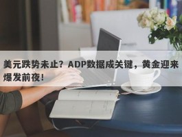 美元跌势未止？ADP数据成关键，黄金迎来爆发前夜！