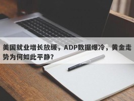 美国就业增长放缓，ADP数据爆冷，黄金走势为何如此平静？