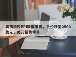 美初请和PPI数据来袭，金价跌至2560美元，美元强势攀升