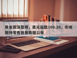 黄金震荡整理，美元站稳109.20，市场期待零售销售数据公布