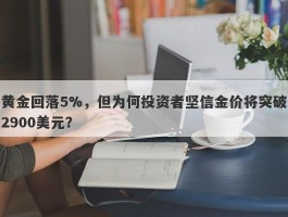 黄金回落5%，但为何投资者坚信金价将突破2900美元？