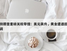 特朗普重磅关税举措：美元飙升，黄金遭遇回调