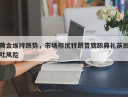 黄金维持跌势，市场担忧特朗普就职典礼前回吐风险