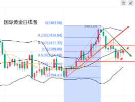 黄力晨：黄金震荡调整 等待美联储利率决定