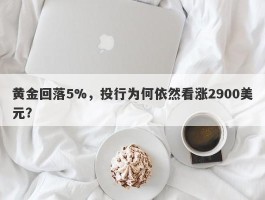 黄金回落5%，投行为何依然看涨2900美元？