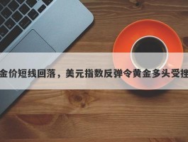 金价短线回落，美元指数反弹令黄金多头受挫