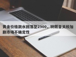 黄金价格跳水回落至2900，特朗普关税加剧市场不确定性