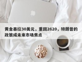 黄金暴拉30美元，重回2620，特朗普的政策成未来市场焦点