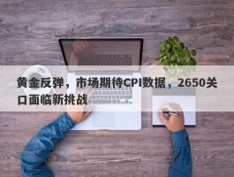 黄金反弹，市场期待CPI数据，2650关口面临新挑战