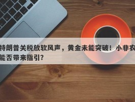 特朗普关税放软风声，黄金未能突破！小非农能否带来指引？