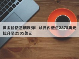 黄金价格急剧反弹！从日内低点2878美元拉升至2905美元