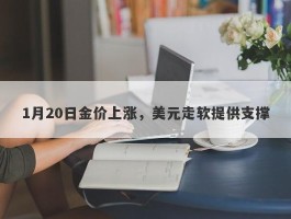 1月20日金价上涨，美元走软提供支撑