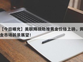 美联降级助推黄金价格上扬，黄金市场前景展望！