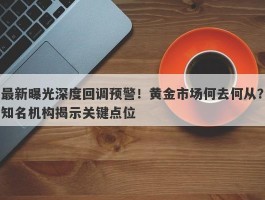 最新曝光深度回调预警！黄金市场何去何从？知名机构揭示关键点位