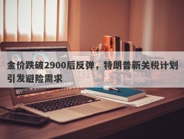 金价跌破2900后反弹，特朗普新关税计划引发避险需求