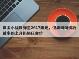 黄金小幅反弹至2617美元，但美国国债收益率的上升仍施压金价