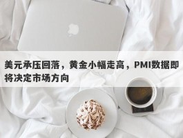 美元承压回落，黄金小幅走高，PMI数据即将决定市场方向