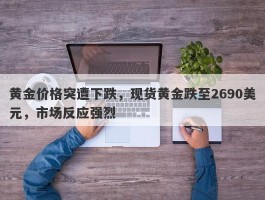 黄金价格突遭下跌，现货黄金跌至2690美元，市场反应强烈