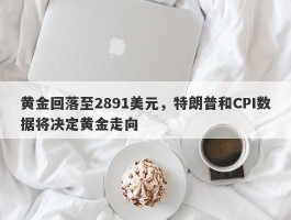 黄金回落至2891美元，特朗普和CPI数据将决定黄金走向