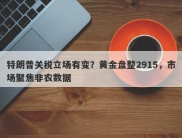 特朗普关税立场有变？黄金盘整2915，市场聚焦非农数据