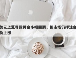 美元上涨导致黄金小幅回调，但市场仍押注金价上涨