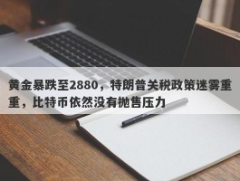 黄金暴跌至2880，特朗普关税政策迷雾重重，比特币依然没有抛售压力