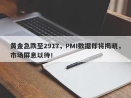 黄金急跌至2917，PMI数据即将揭晓，市场屏息以待！