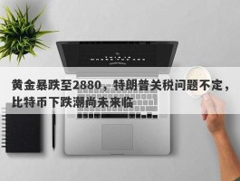 黄金暴跌至2880，特朗普关税问题不定，比特币下跌潮尚未来临