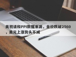 美初请和PPI数据来袭，金价跌破2560，美元上涨势头不减