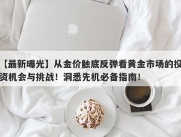 从金价触底反弹看黄金市场的投资机会与挑战！洞悉先机必备指南！