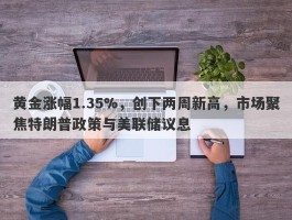 黄金涨幅1.35%，创下两周新高，市场聚焦特朗普政策与美联储议息